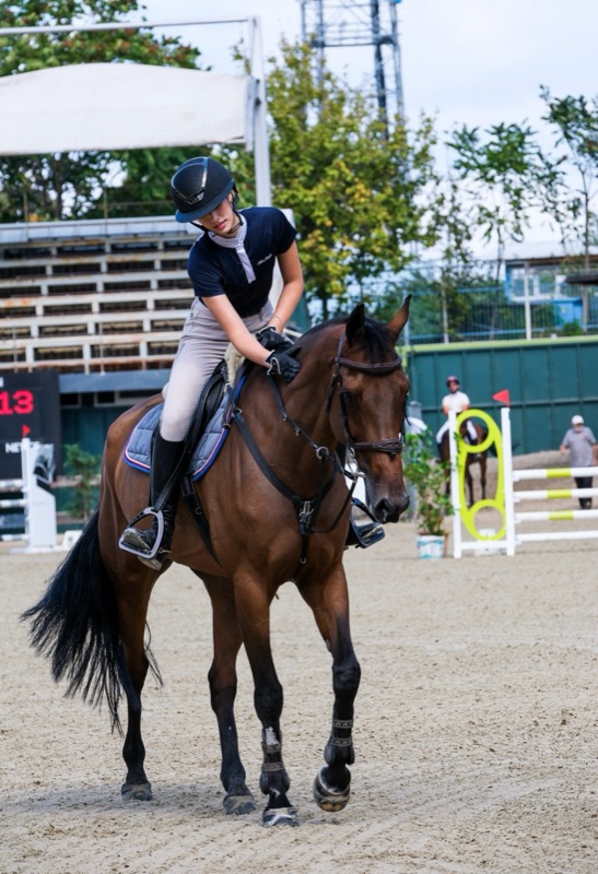 A rider leaning forward on a bay horse in a competition arena