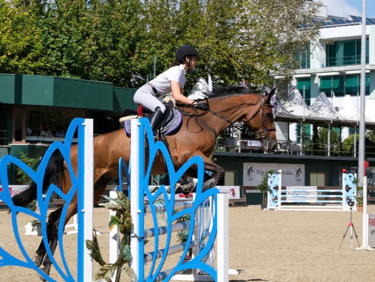 A rider and a bay horse clearing a blue and white fence at a competition