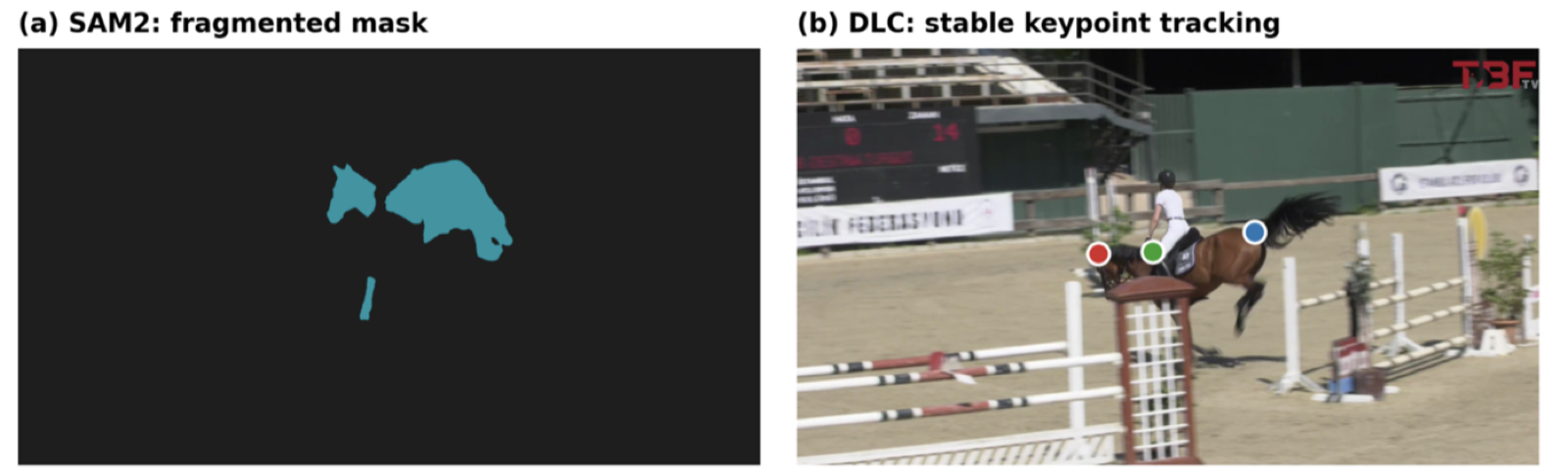 Comparison of a fragmented outline mask versus three stable tracked points on a jumping horse